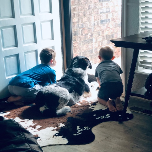 Meet your Posher, C.R.M - Picture 2 of 6